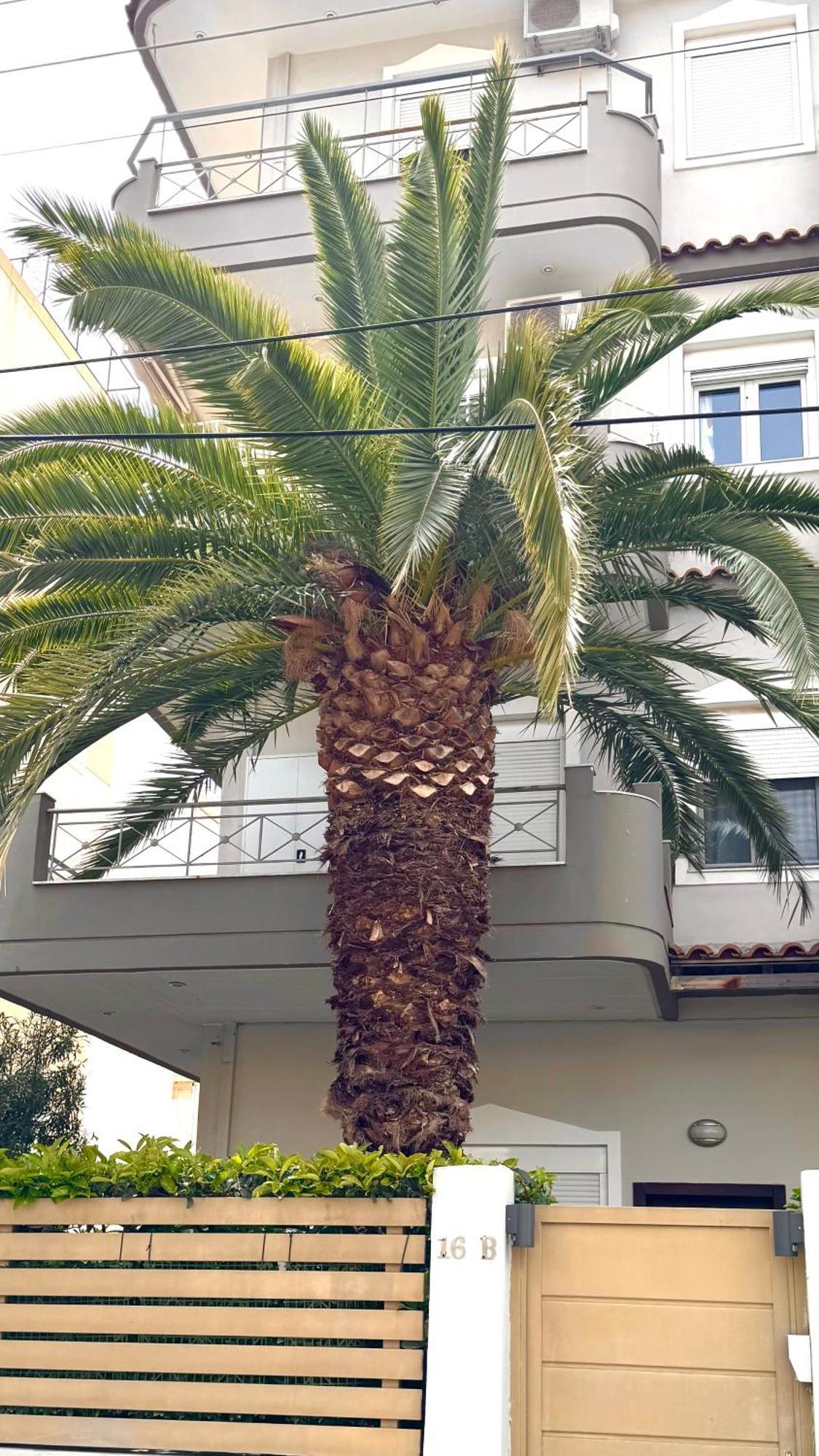 Elegant Glyfada Apartment-Private Garden-Near Metro Atény Exteriér fotografie